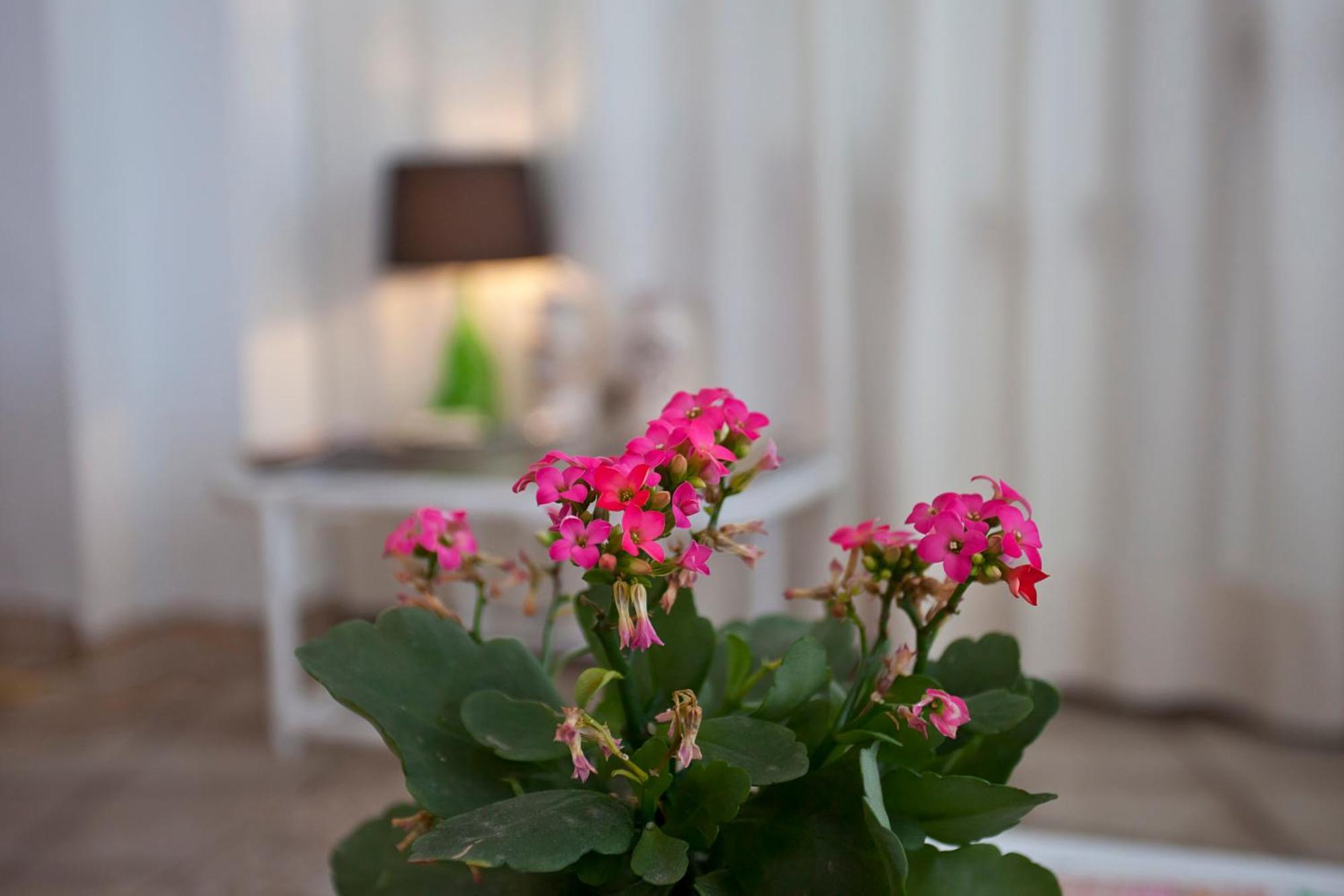 Galaxia Boutique Hotel Кан Пикафорт Экстерьер фото